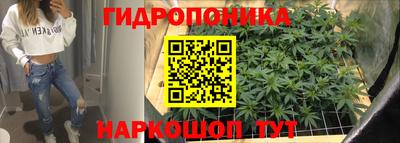 эйфоретик Шахты