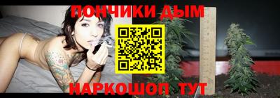 индика Шебекино